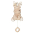 Laad afbeelding in galerijweergave, Muziekdoosje - Baby Bunny