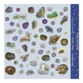Laad afbeelding in galerijweergave, Adventskalender - Animals in the Winter Forest