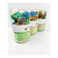 Laad afbeelding in galerijweergave, Speelklei Dinosaur Play Pot