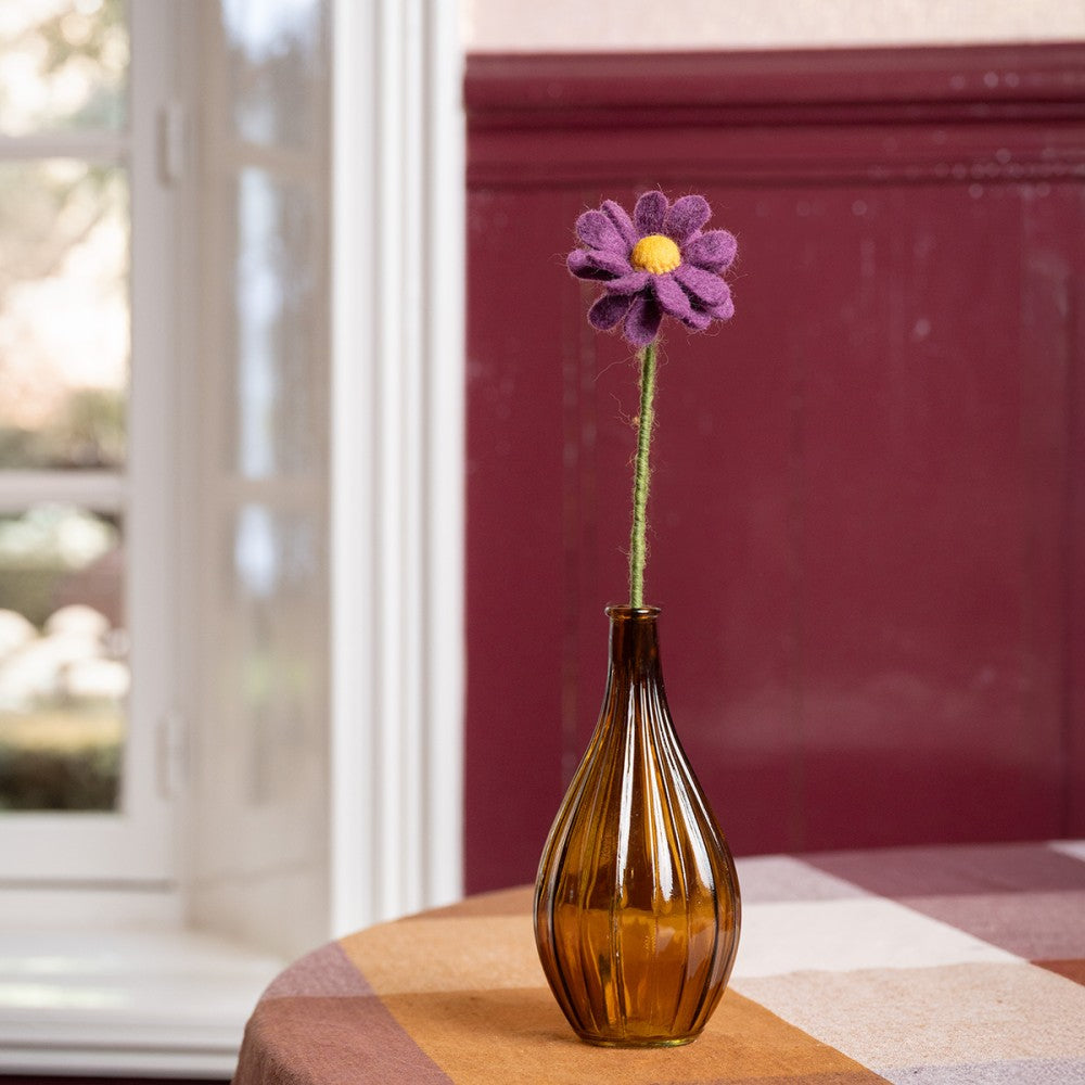 Herfst Margrietje Paars