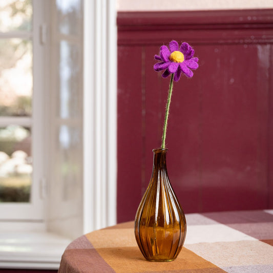 Herfst Margrietje Violet