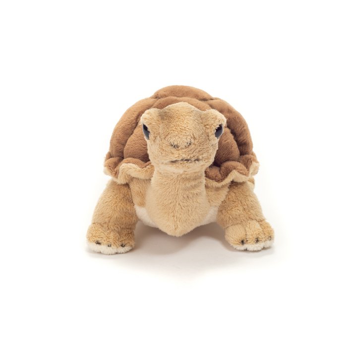 Knuffel Schildpad