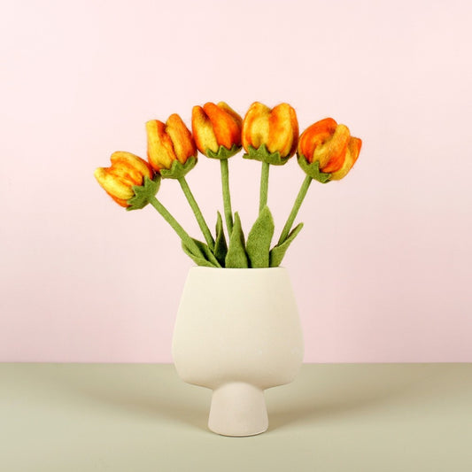 bloem-tulp-olivia-5-st