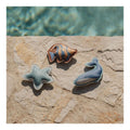 Duikfiguren Ocean World