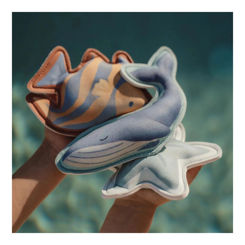 Duikfiguren Ocean World