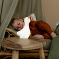 Laad afbeelding in galerijweergave, Nachtlampje - Little Goose
