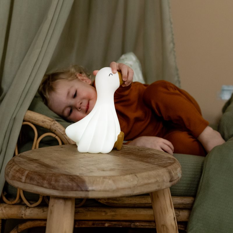 Nachtlampje - Little Goose