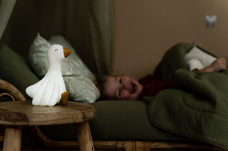 Nachtlampje - Little Goose
