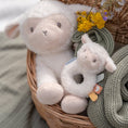 Laad afbeelding in galerijweergave, Zachte ringrammelaar - Schaap Little Farm
