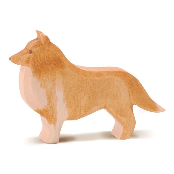 Collie