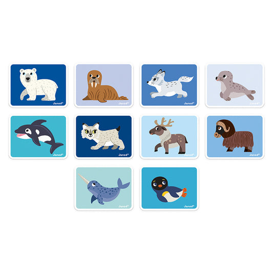 Magnetibook Pooldieren