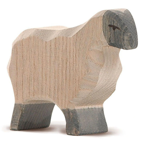 Moorland Schaap