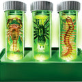 Laboratorium met Lichtgevende Beestjes