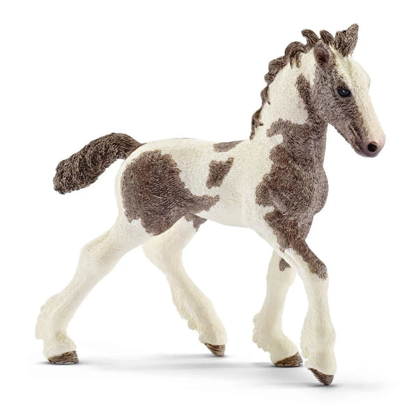 Tinker Veulen