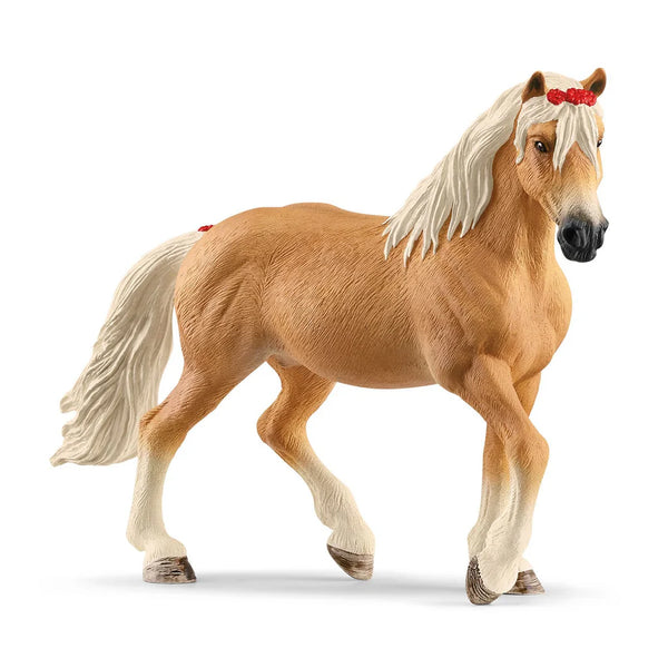 Haflinger Merrie