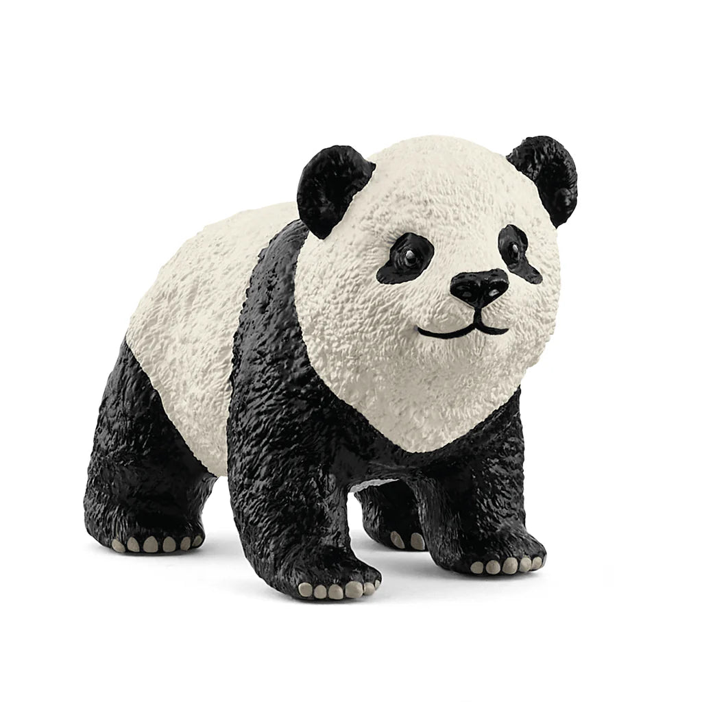 Reuzen panda jong