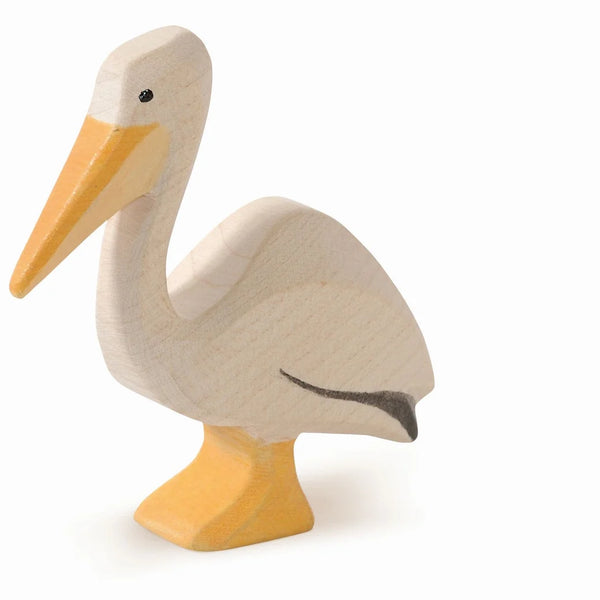 Pelikaan Zwemmend
