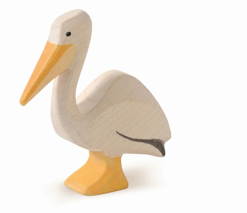 Pelikaan Zwemmend