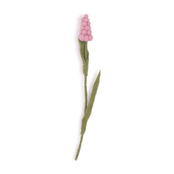 Druifje Roze