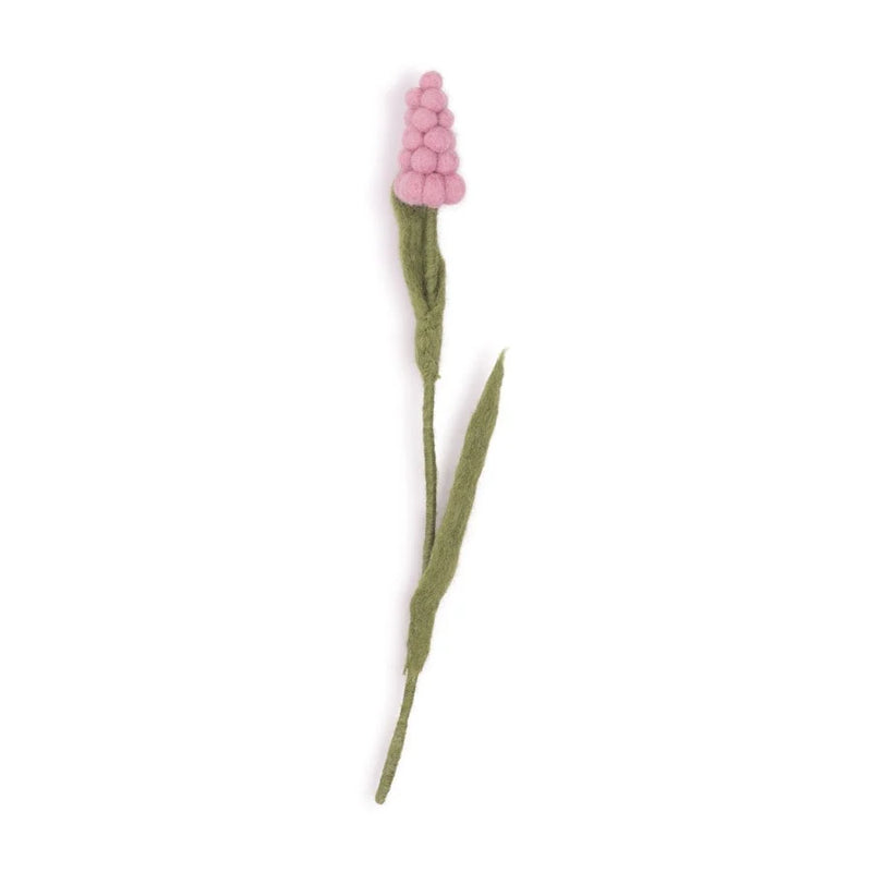 Druifje Roze