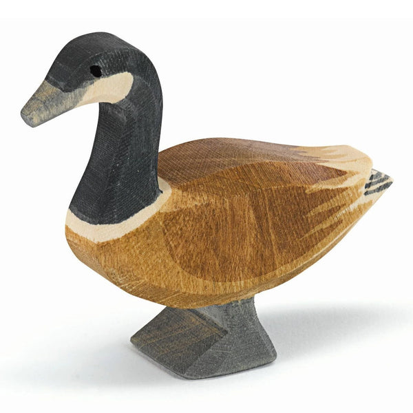 Canadese Gans Staand