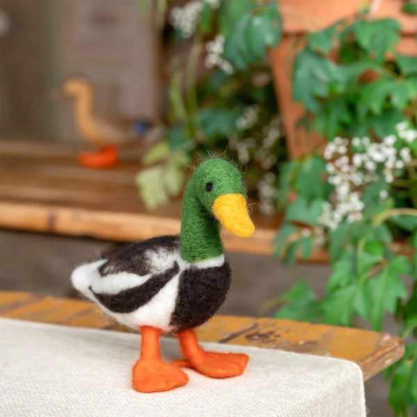 Vilten Wilde Eend - Woerd