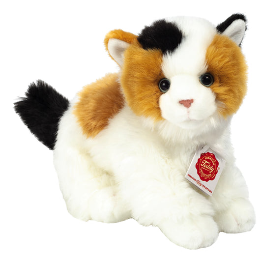 Knuffel Lapjes Kat