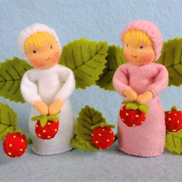 Aardbei Zusjes - Zelfmaakpakketje