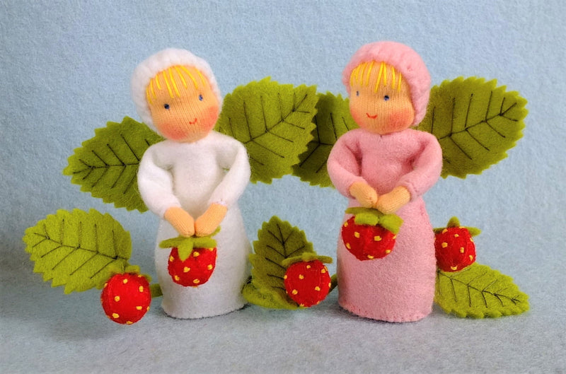 Aardbei Zusjes - Zelfmaakpakketje