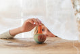 Laad afbeelding in galerijweergave, Mellow Orange Bird
