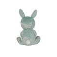 Laad afbeelding in galerijweergave, Dinky Dinkums Fluffle family - Biscuit bunny
