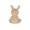 Laad afbeelding in galerijweergave, Dinky Dinkums Fluffle family - Bubba bunny
