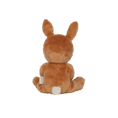 Laad afbeelding in galerijweergave, Dinky Dinkums Fluffle family - Bucky bunny
