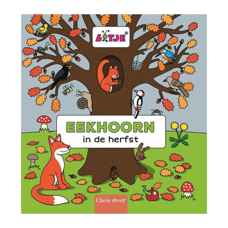 Eekhoorn  - in de herfst