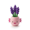 Plant Folks