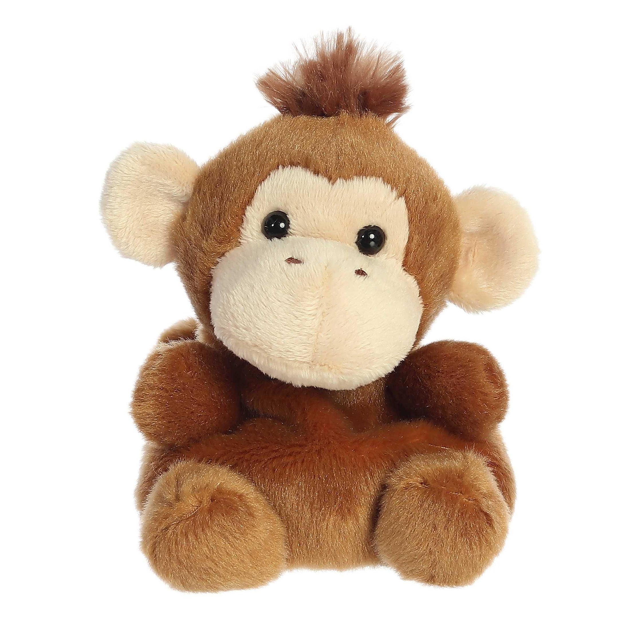 Knuffel aap
