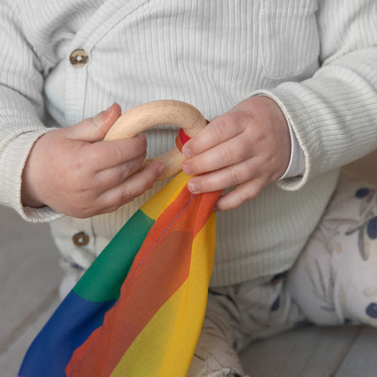 Playcycle speeldoek met houten ring regenboog waves