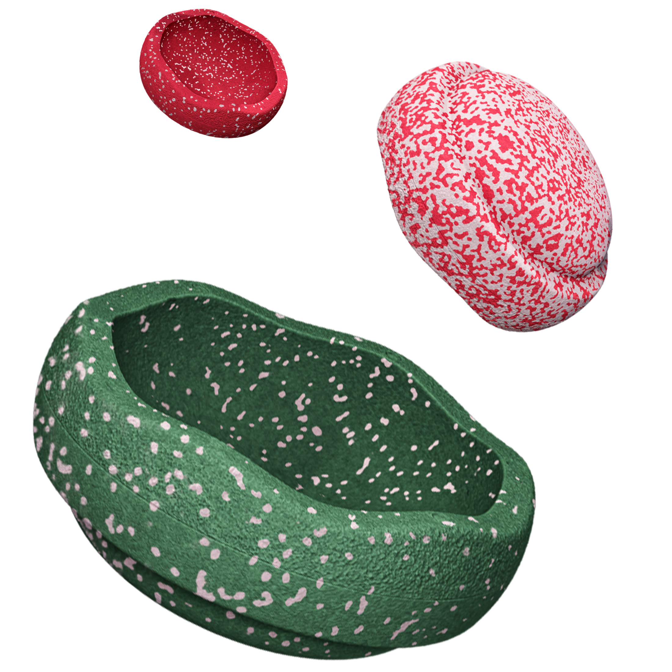 Special Trilogy Set - Blush