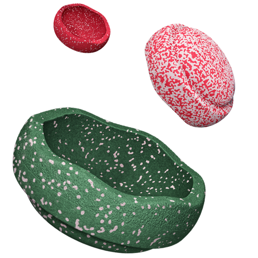 Special Trilogy Set - Blush