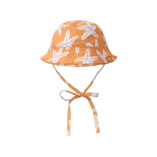 Zonnehoedje Zeesterren