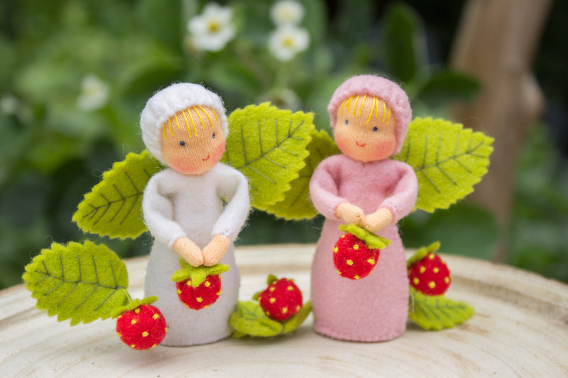 Aardbei Zusjes - Zelfmaakpakketje