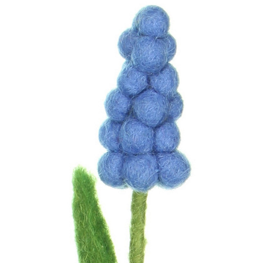 Blauw Druifje