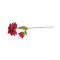 Dahlia XL Wijnrood