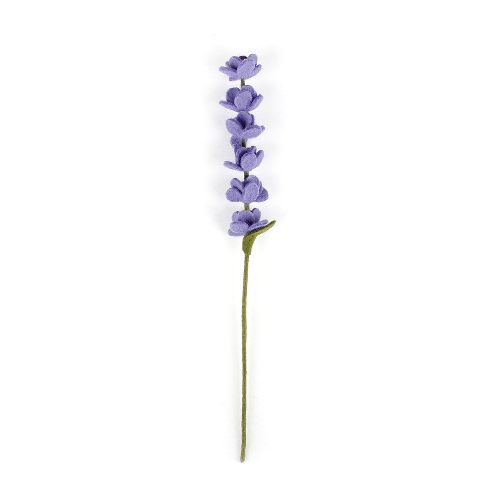 Lavendel