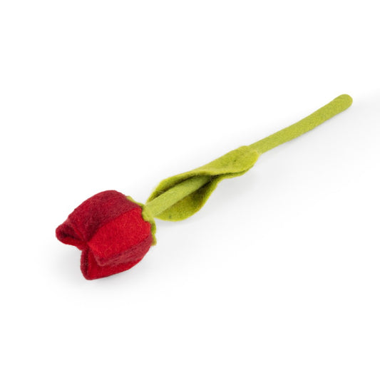 Tulp Robin