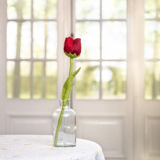 Tulp Robin