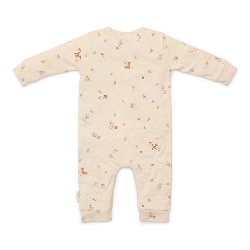 Boxpakje Forest Nature