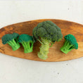 Laad afbeelding in galerijweergave, Bijtspeeltje Broccoli (Brucy The Broccoli)
