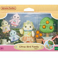 Citrus Bird Family