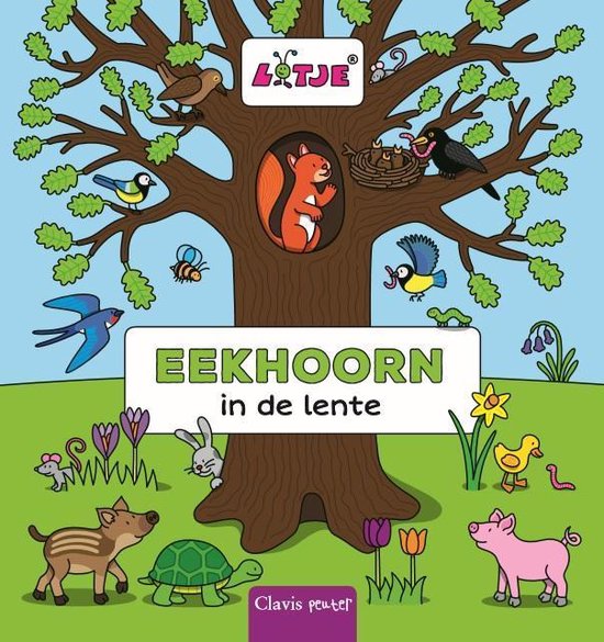 Eekhoorn - in de lente